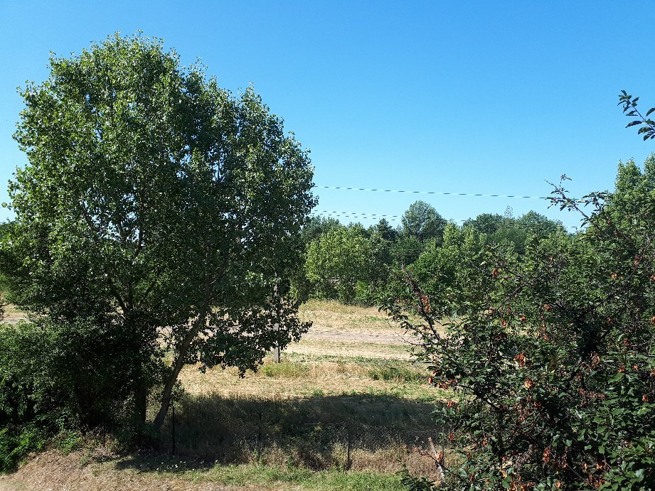 Vác