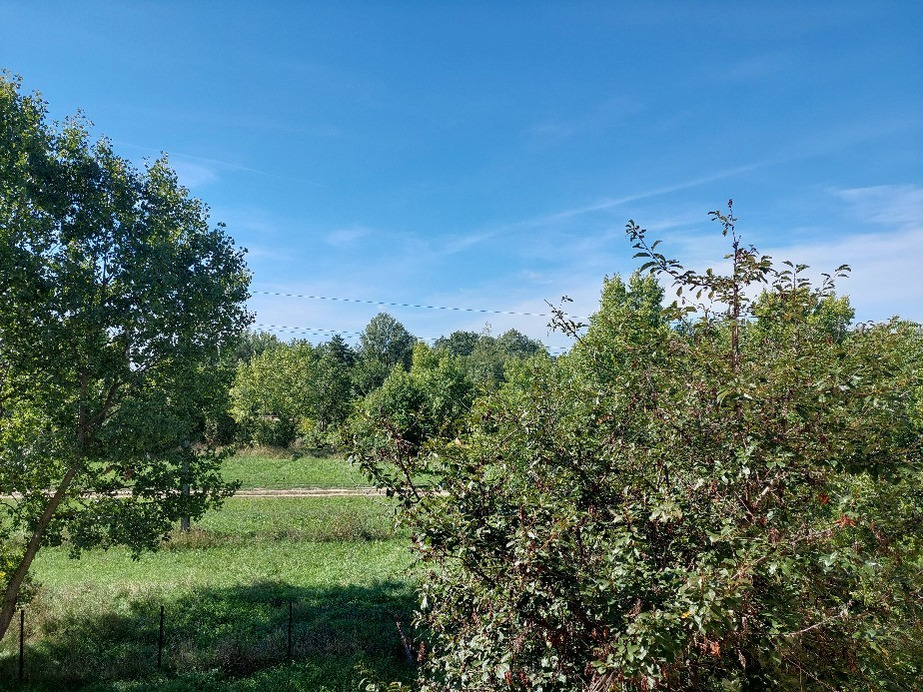 Vác