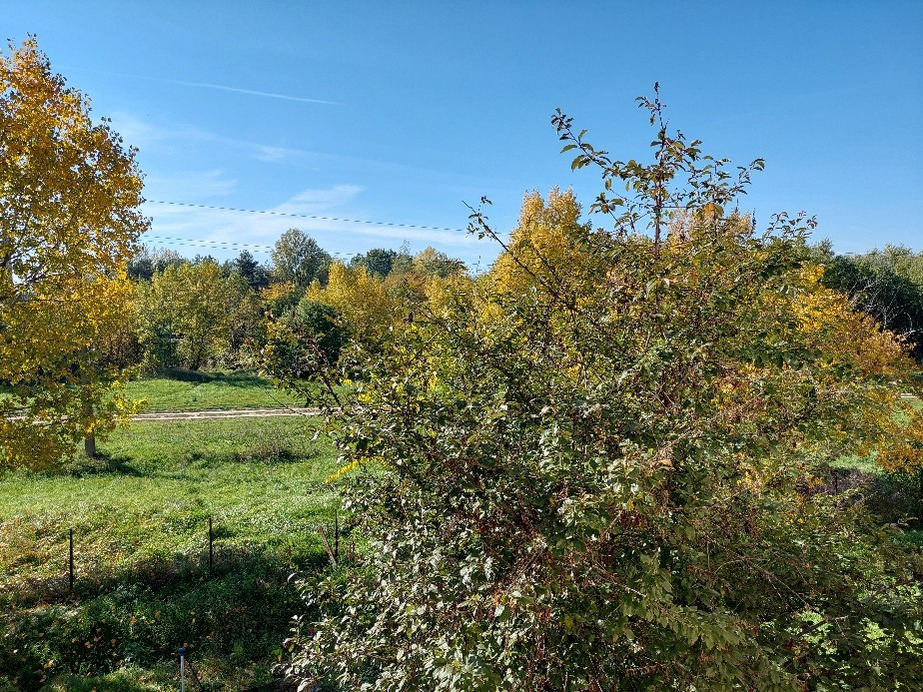Vác