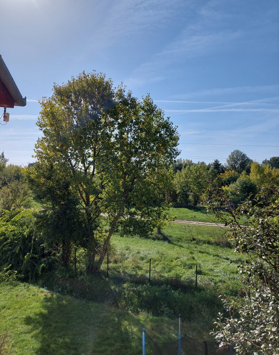 Vác