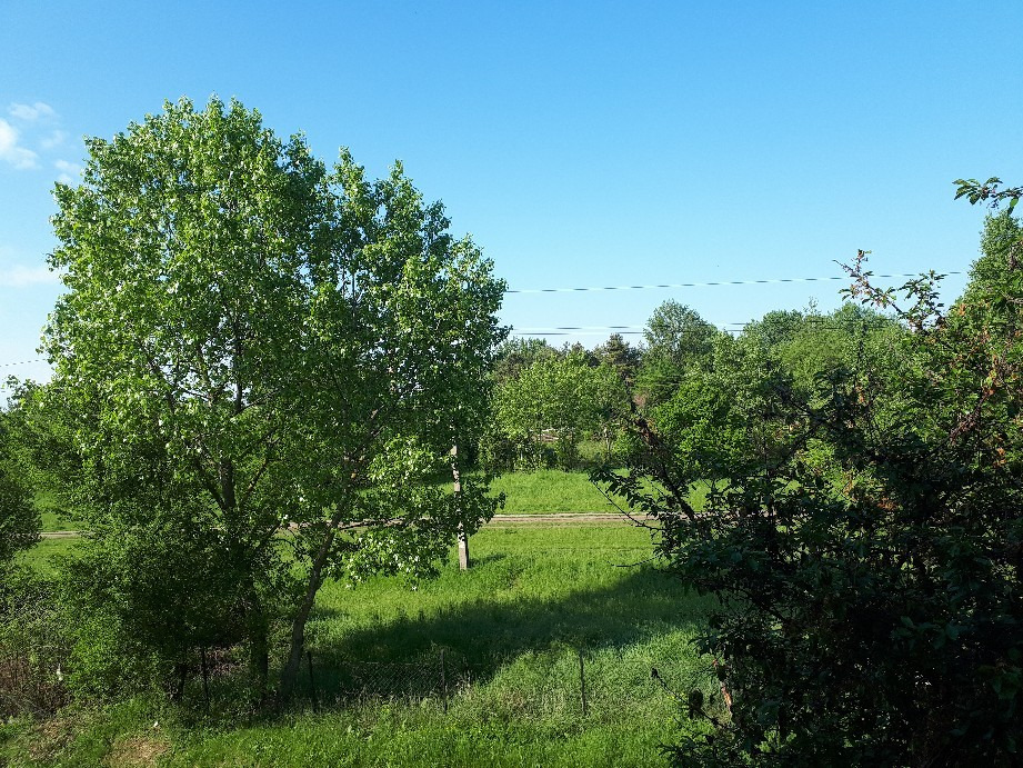 Vác