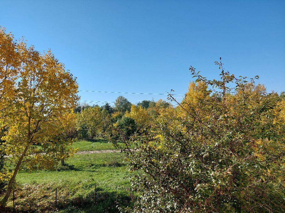 Vác