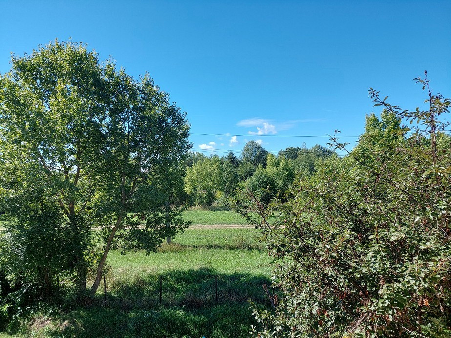 Vác
