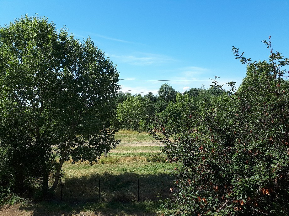 Vác