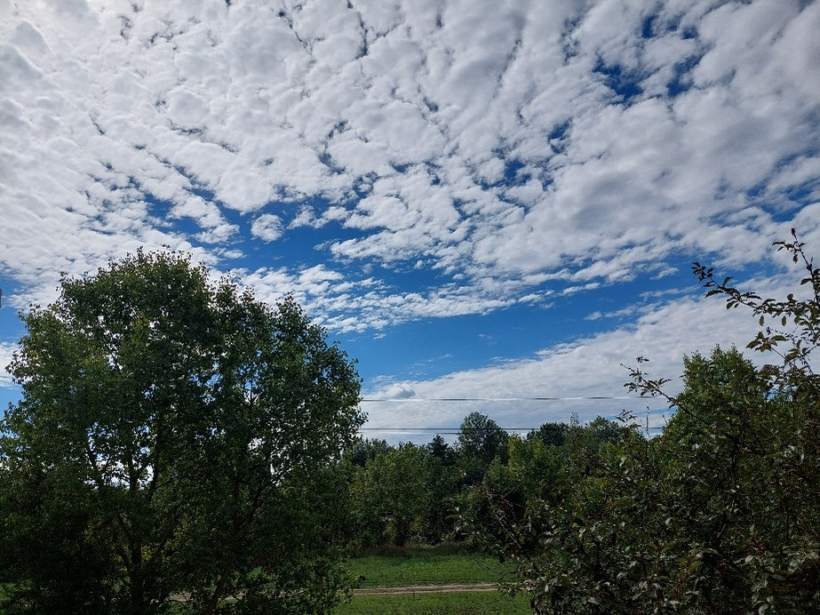 Vác