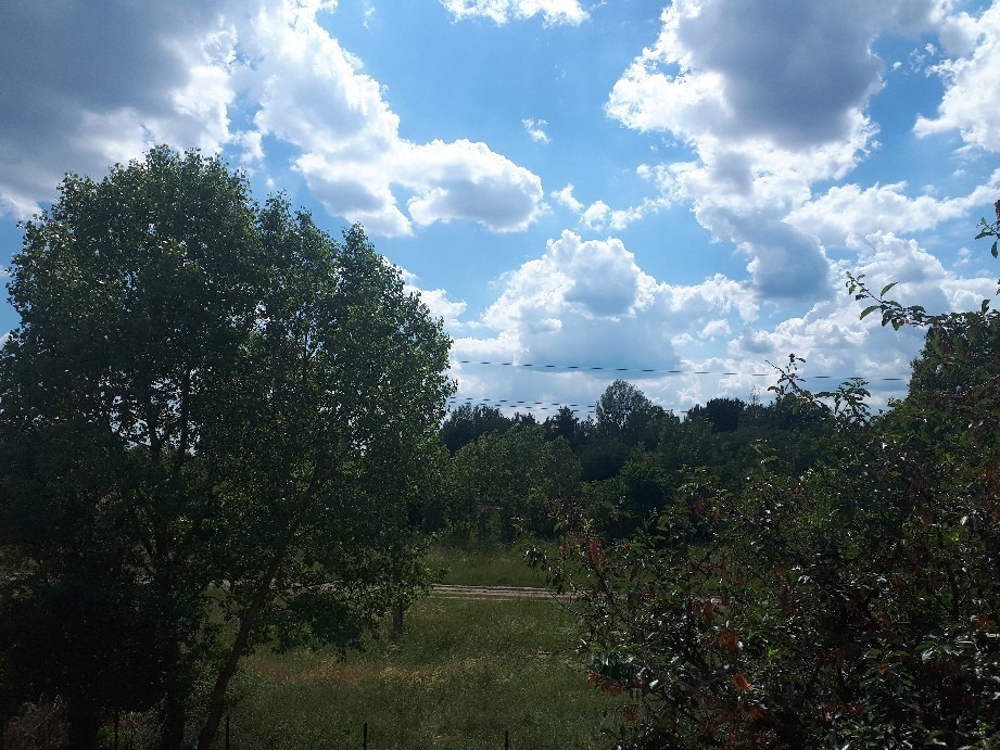 Vác