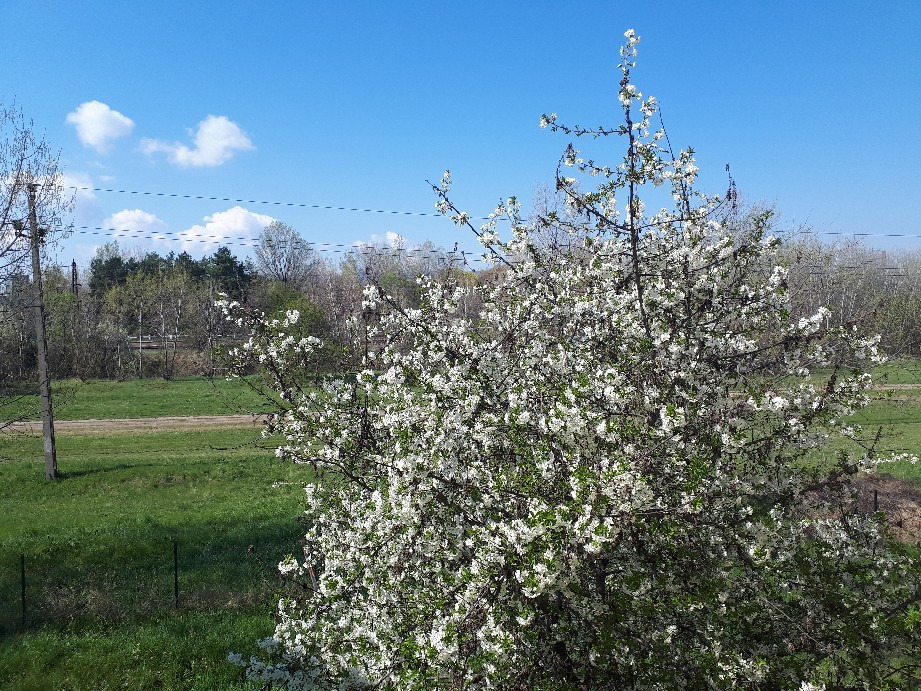 Vác