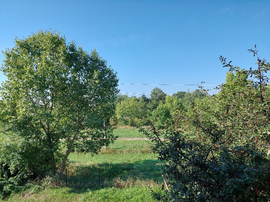 Vác
