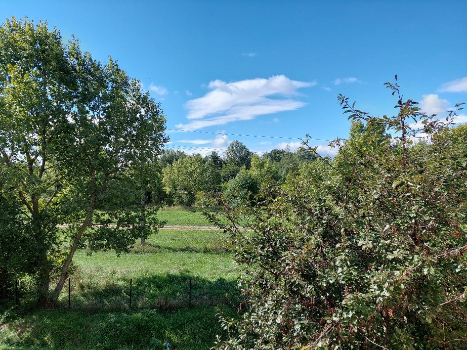 Vác