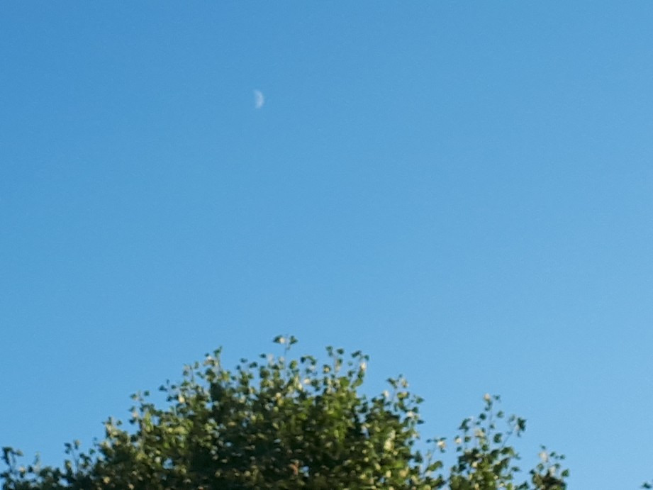 Vác