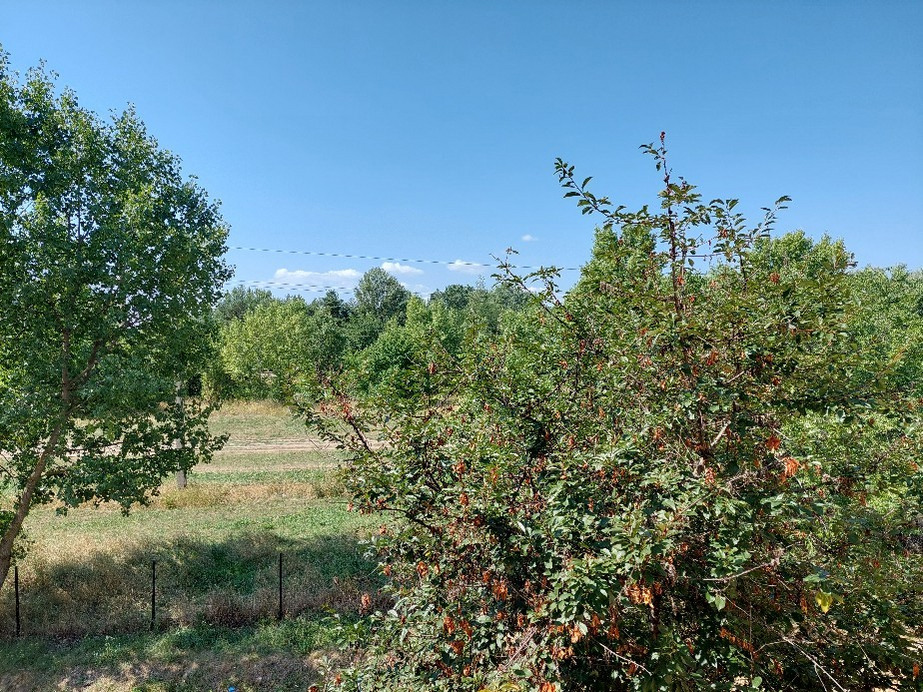Vác