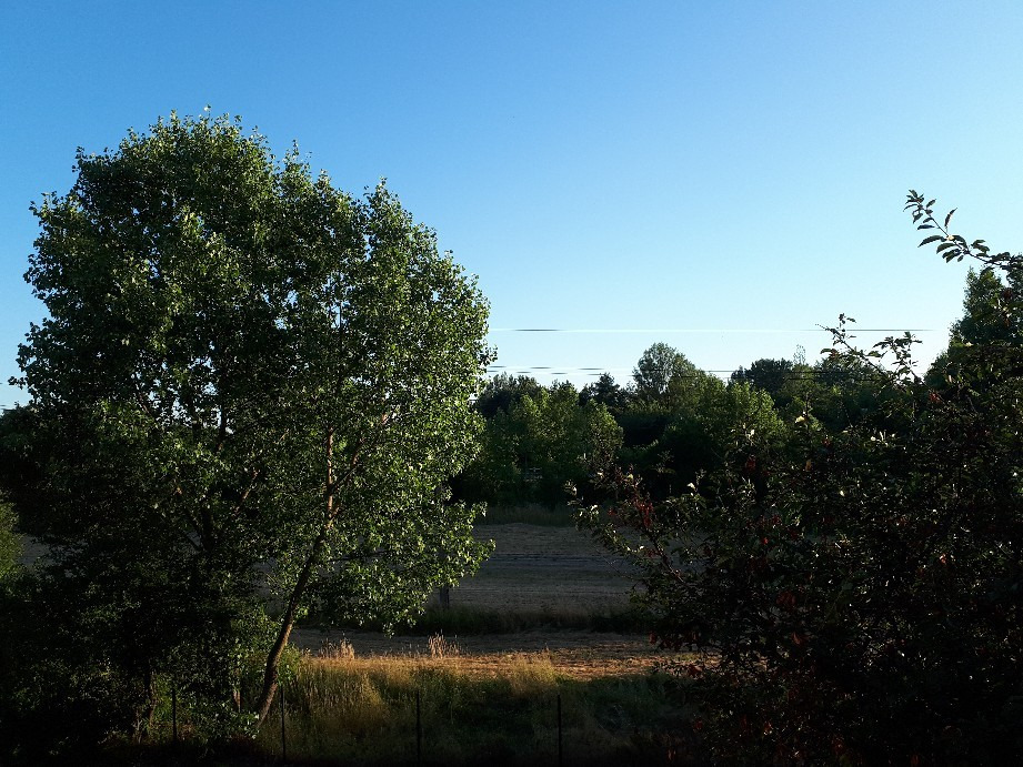 Vác