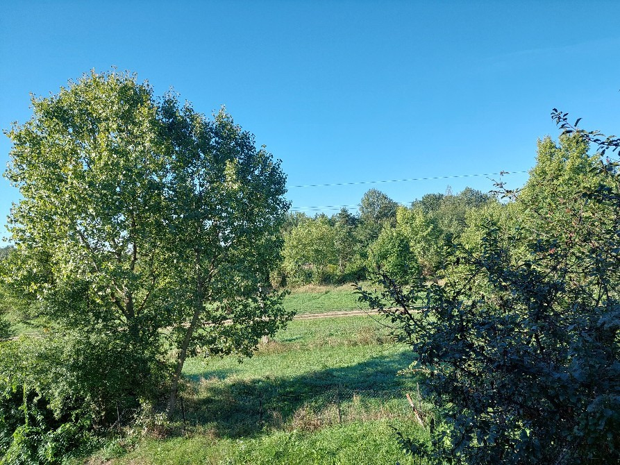 Vác