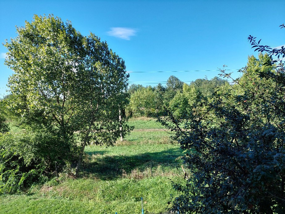 Vác