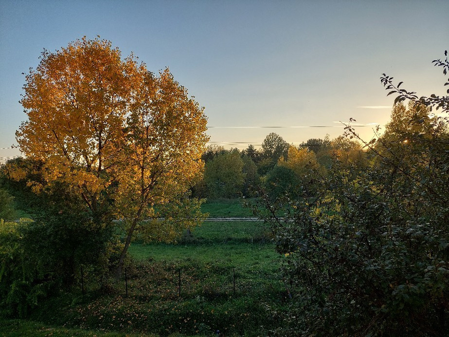 Vác