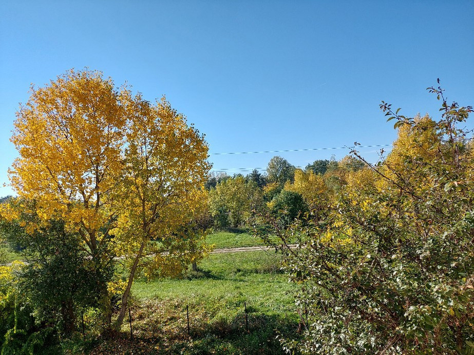 Vác