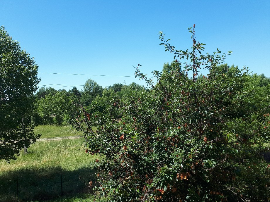 Vác