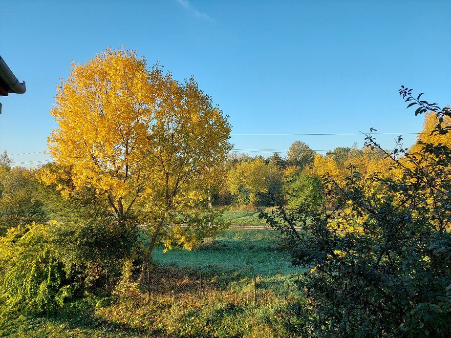 Vác