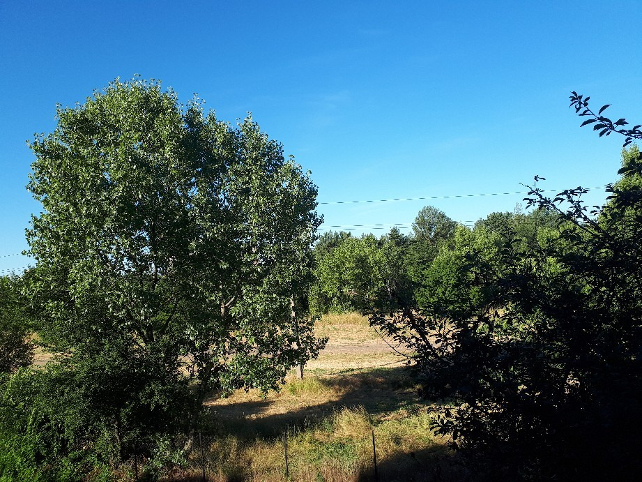 Vác