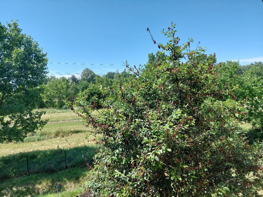 Vác