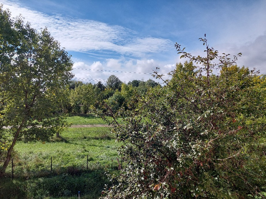 Vác