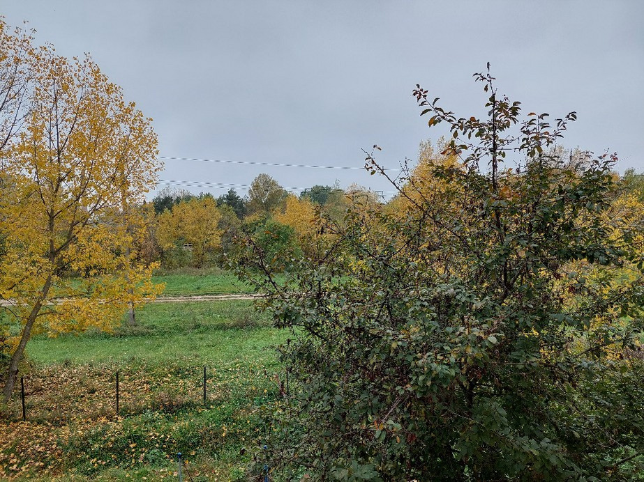 Vác
