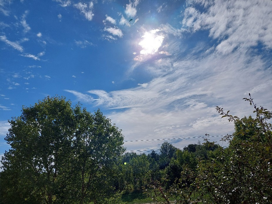 Vác
