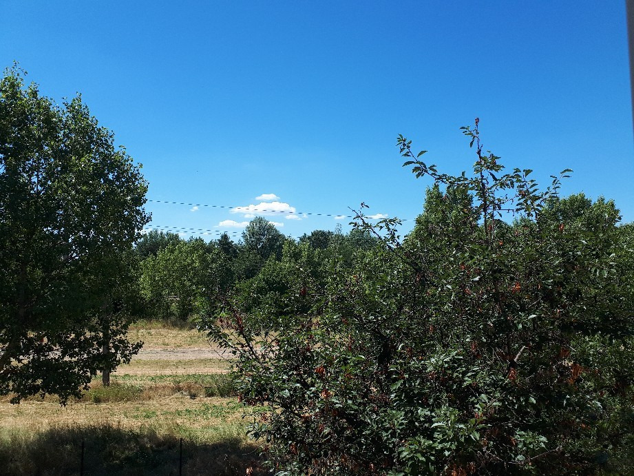 Vác