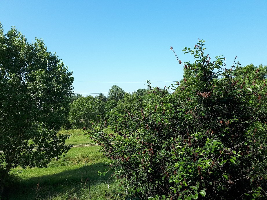 Vác