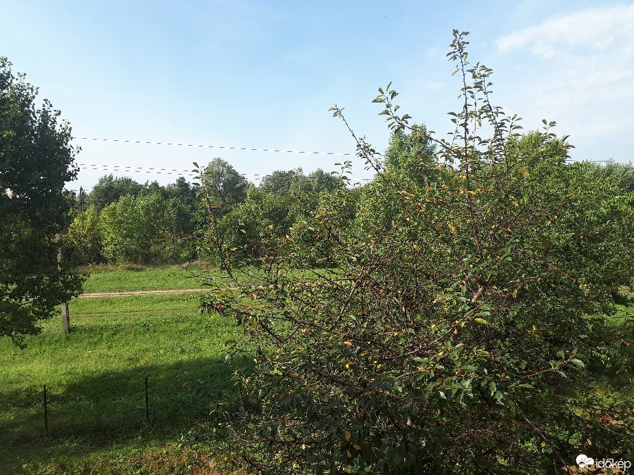 Vác