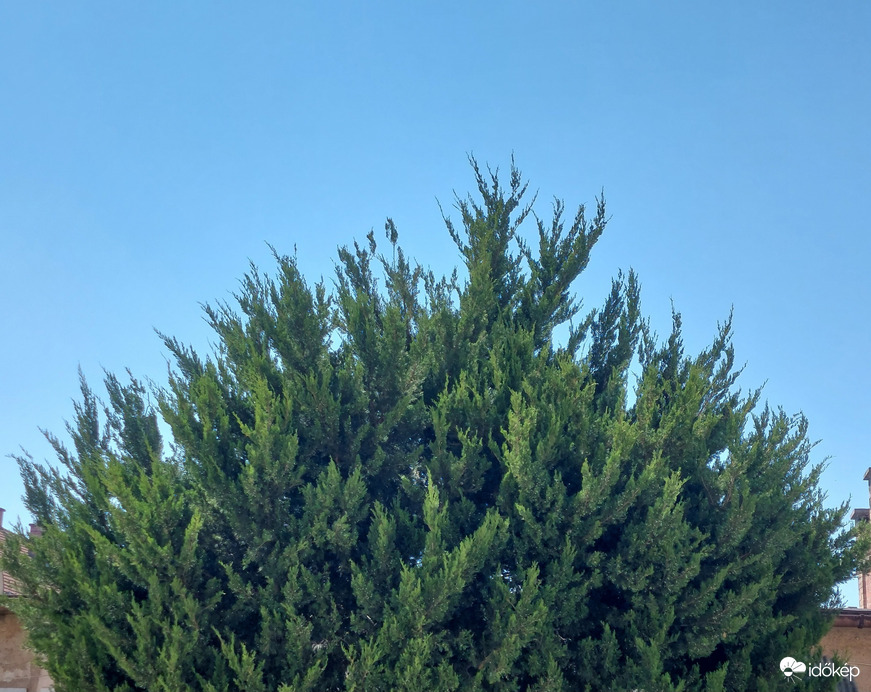 Vác