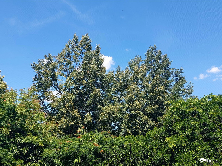 Vác