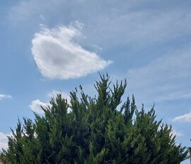 Vác