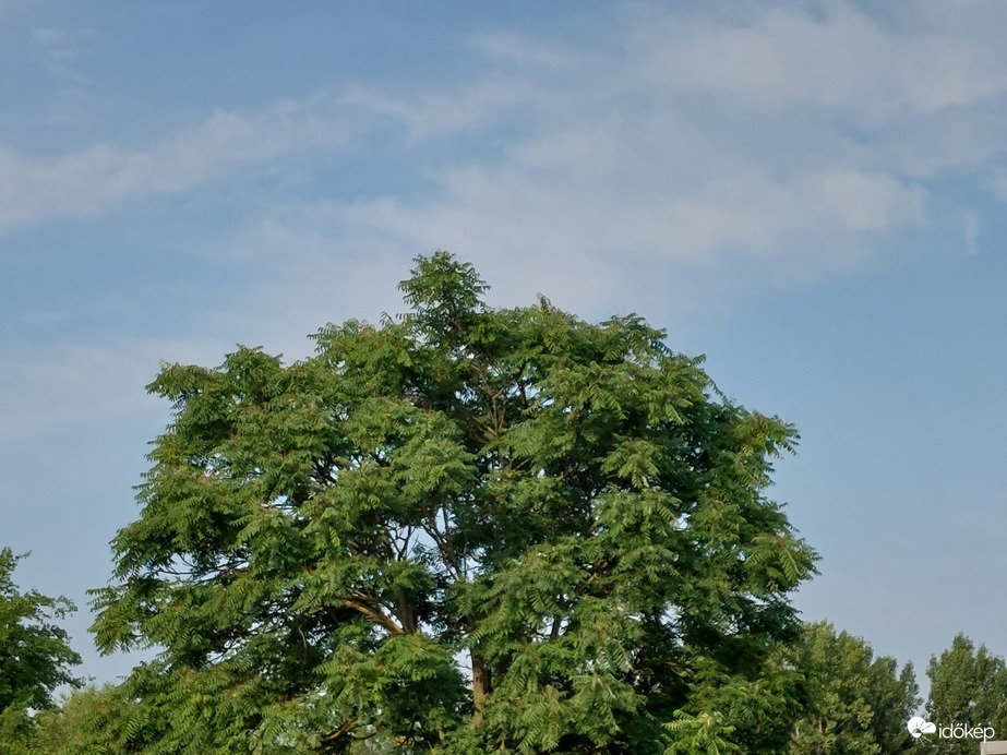 Vác