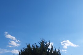 Vác