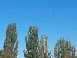 Vác
