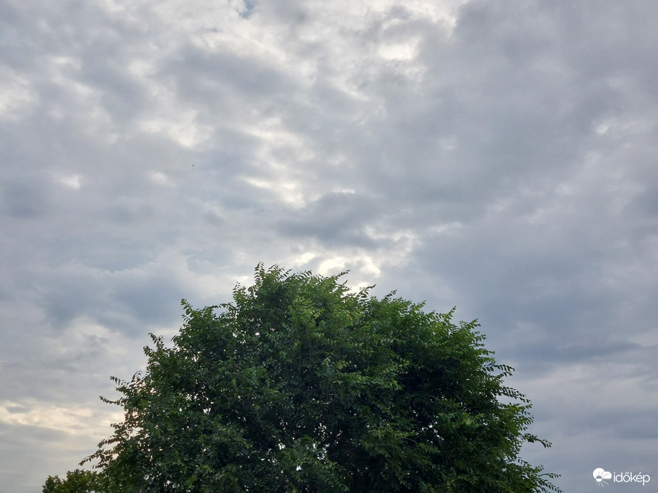 Vác