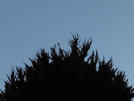 Vác