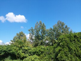 Vác
