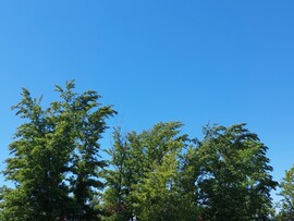 Vác