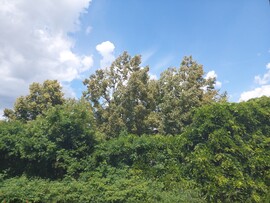 Vác