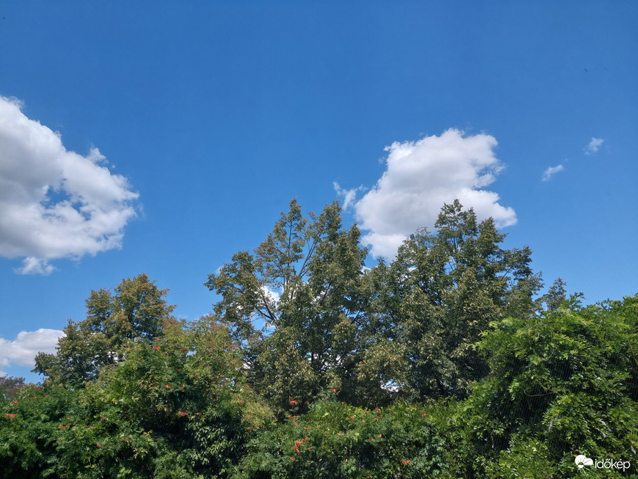 Vác
