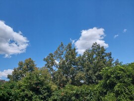 Vác