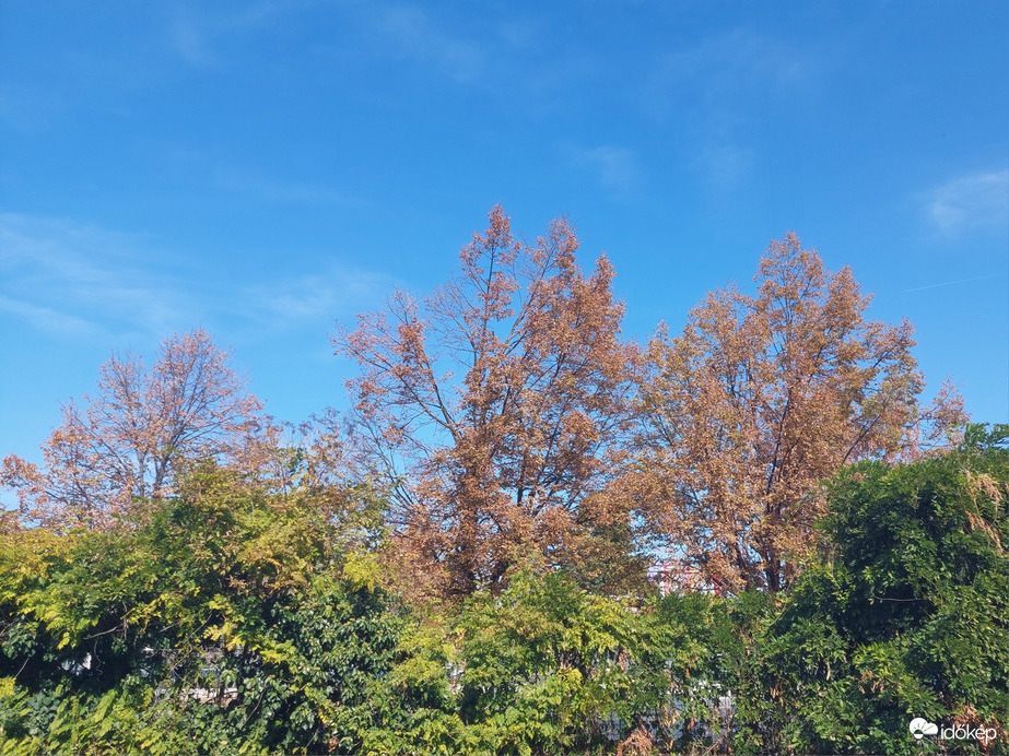 Vác