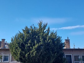 Vác