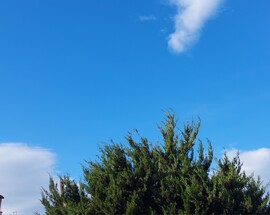 Vác