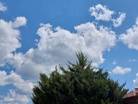 Vác