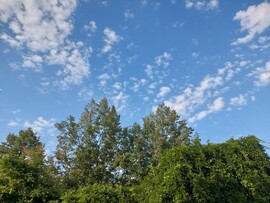 Vác