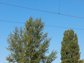 Vác