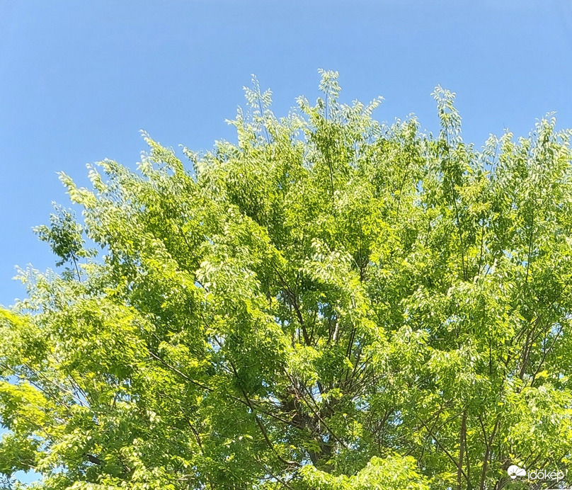 Vác